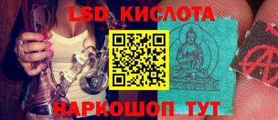 шишки Малоярославец