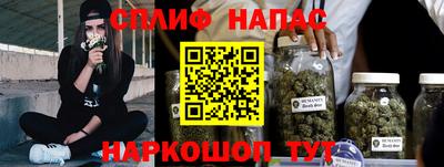 сатива Малгобек