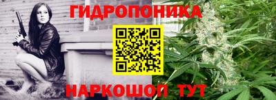 сатива Малгобек