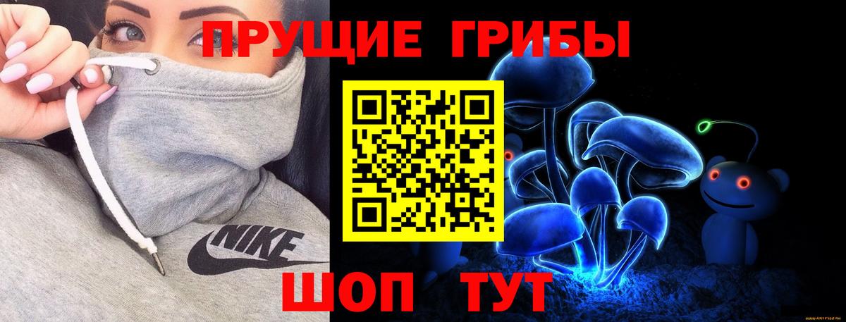 Псилоцибиновые грибы прущие грибы Звенигород