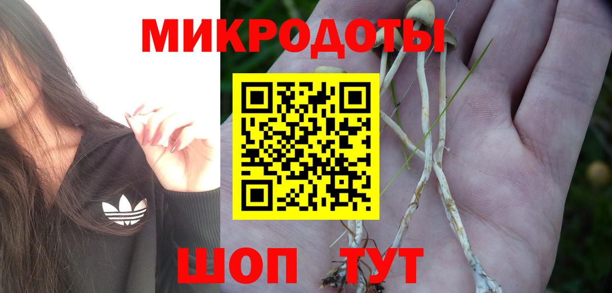 Галлюциногенные грибы GOLDEN TEACHER  Псилоцибиновые грибы ЛСД  Звенигород  Вход с VPN 