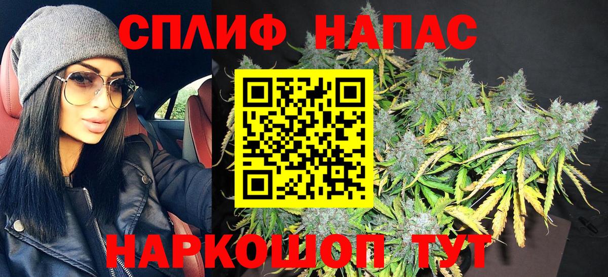 Бошки марихуана сатива Звенигород